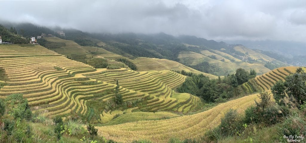 Jinkeng Rice Terraces